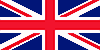 it_flag